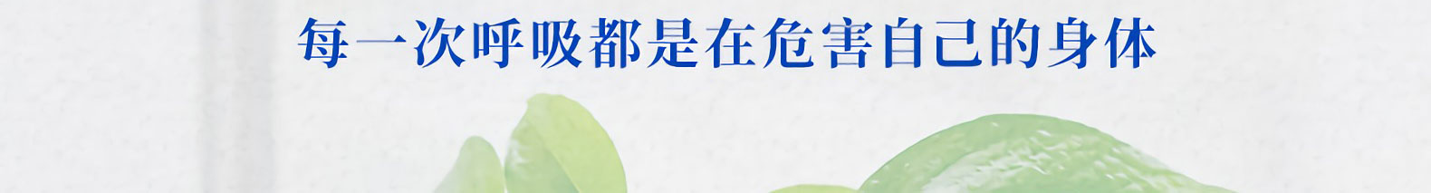新房除甲醛 新房除甲醛
