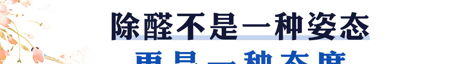 新房除甲醛 新房除甲醛