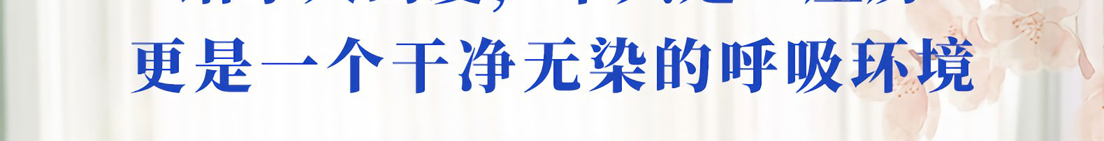 新房除甲醛 新房除甲醛