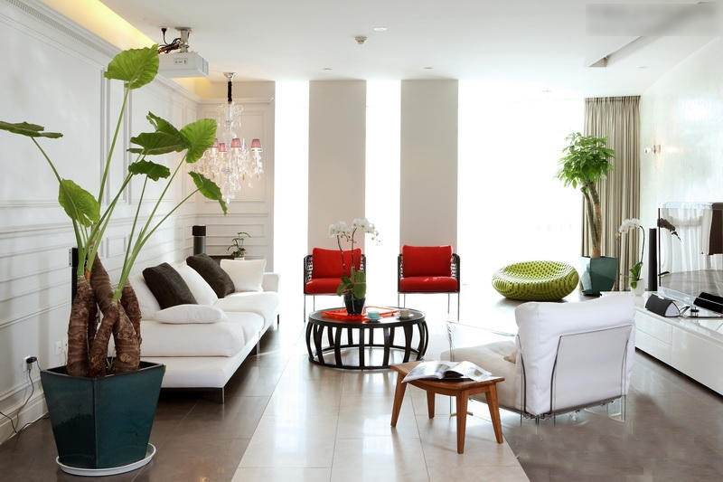 刚装修好的房子,需要怎样去除甲醛 刚装修好的房子,需要怎样去除甲醛