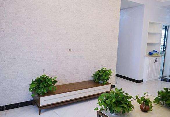 选择专业除甲醛公司该注意哪些信息？