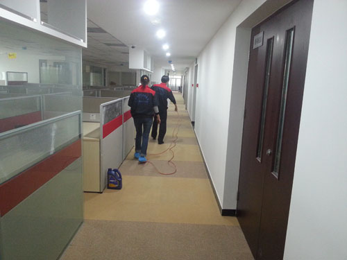 旋极集团办公室除甲醛 旋极集团办公室除甲醛