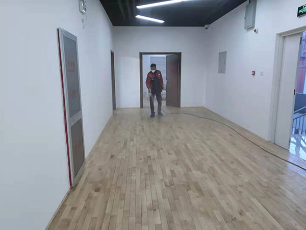 新装修办公区除甲醛 