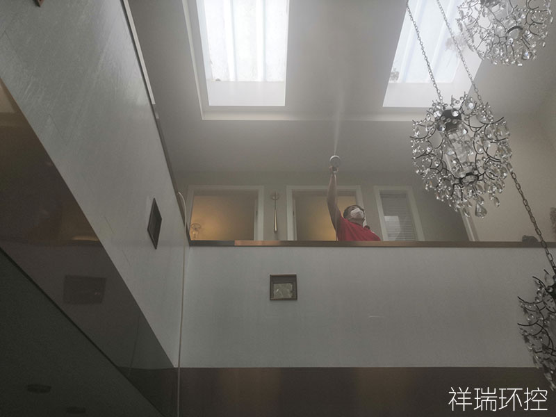 国际艺术园别墅除甲醛